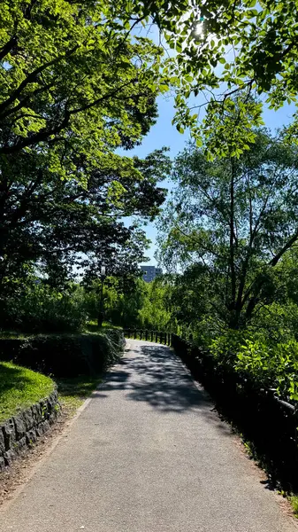 Parkın güzel manzarası