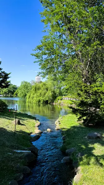 Ağacı ve gölü olan güzel bir manzara.