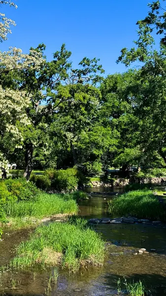 Nehir ve ağaçlarla dolu güzel bir manzara