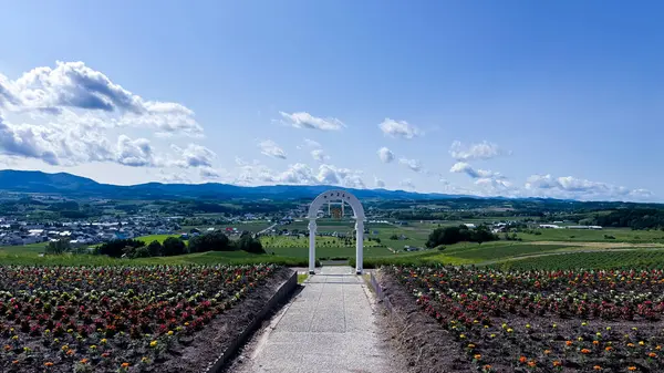 Yeni Zelanda eyaletinin adanın manzarası.