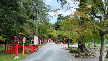 Ağaçlı güzel sonbahar manzarası