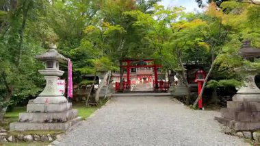 Parktaki eski ahşap köprü.