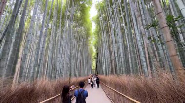 Ağacı olan güzel bir manzara