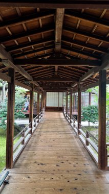 Parkın güzel manzarası