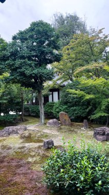 beautiful garden with a tree and a large stone