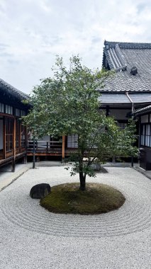 Japon geleneksel bahçesi gündüz vakti.