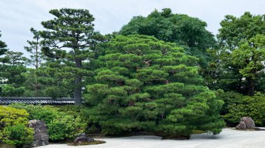 Japonya 'daki Japon bahçesi.