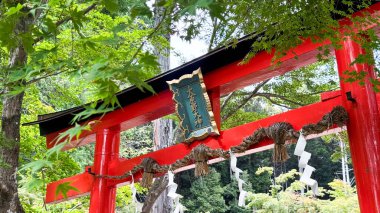 japanese red lantern in the garden