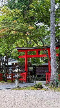 Parkın güzel manzarası