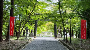 Parkta kırmızı ve yeşil ağaçlar