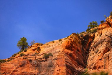 Zion Ulusal Parkı 'ndaki güzel kızıl kaya oluşumu..