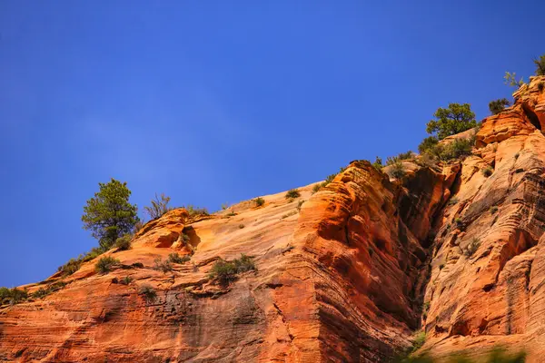 Zion Ulusal Parkı 'ndaki güzel kızıl kaya oluşumu..
