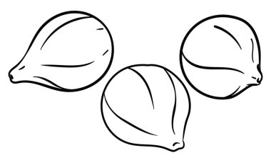 Beyaz arka planda izole edilmiş, renklendirici ana hatlarıyla üç lezzetli incir seti.