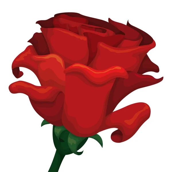 Odizolowany Widok Bliska Czerwonej Róży Przegrodami Róży Łodygi Stylu Kreskówki — Wektor stockowy