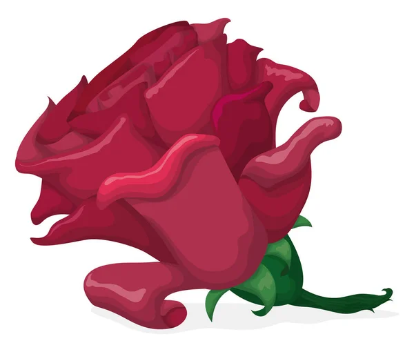 Piękna Różowa Róża Krótką Łodygą Stylu Kreskówki Izolowane Białym Tle — Wektor stockowy