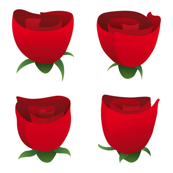 Group Four Roses Rosehips Sepals Gradient Effect — Vetor de Stock