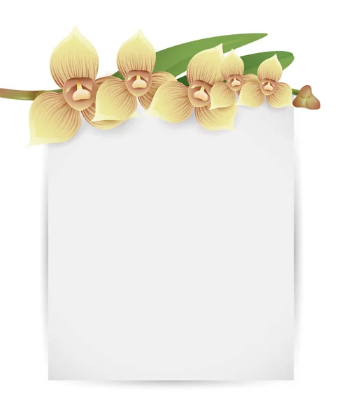 Floral Template Blank Label Hanging Flowering Branch Orchids — Vetor de Stock