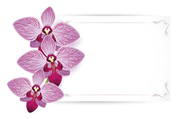 Beautiful Arrangement Three Purple Orchids Next Blank Card Template Design — Stok Vektör