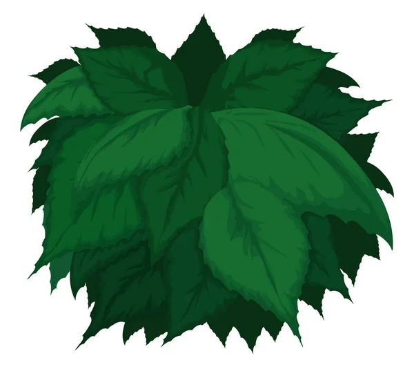 Bush Many Green Leaves Cartoon Design White Background — стоковый вектор