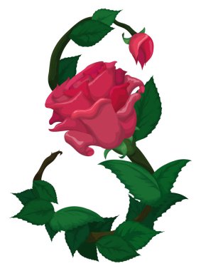 Decorated number eight with green stem, leaves, pink rose and bud, to commemorate Women's Day on March 8.