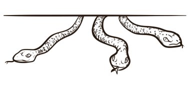 Dili dışarı çıkmış üç yılanın resmini çiziyorlar..