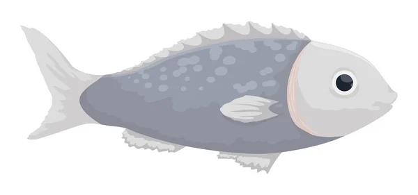 Isolated Gray Fish Spiny Dorsal Fin Design Cartoon Style White — Stock Vector