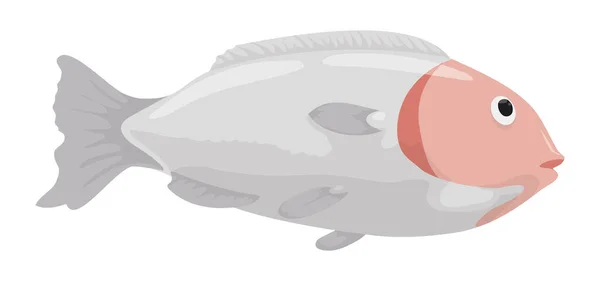 Dikenli Yüzgeçleri Gri Gövdesi Pembe Kafası Olan Taze Balıklar Beyaz — Stok Vektör