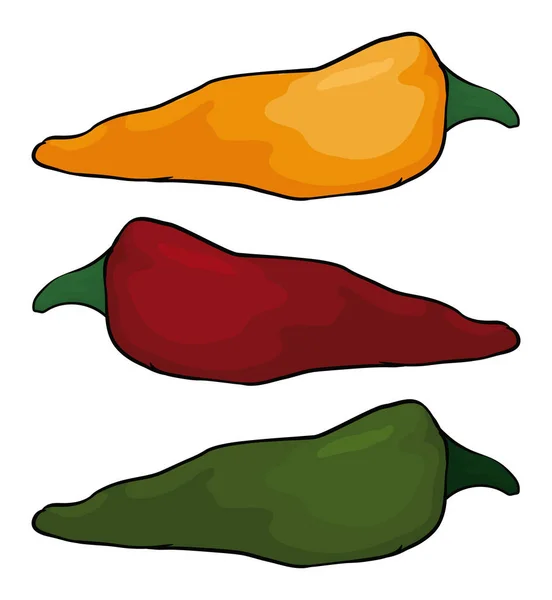 Tři Chilli Papričky Různých Barev Žlutá Červená Zelená Karikaturním Stylu — Stockový vektor