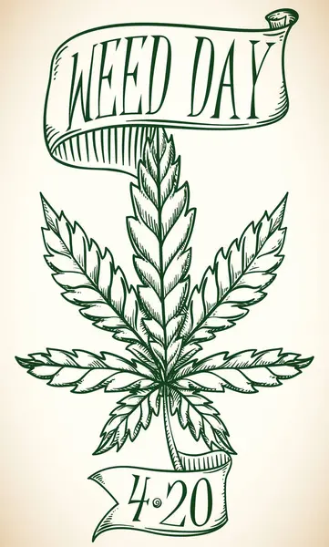 Pergamena Con Foglie Cannabis Nastri Stile Disegnato Mano Celebrare Weed Vettoriale Stock