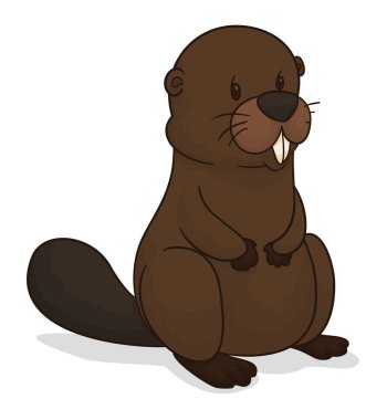 Ayakta duran sevimli kunduz. Beyaz arkaplanda çizgi film tarzı tasarım.