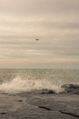 Büyük kumlu bir sahili olan kayalık bir sahil. yüksek kaliteli fotoğraf. Kaspi Aktau