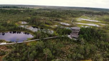 Drone, sulak alanlarla çevrili ahşap bir gözlem kulesinin çarpıcı hava görüntülerini yakalıyor, bozulmamış doğa ve manzaralar sergiliyor..