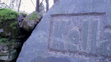 Bu büyüleyici yüksek çözünürlüklü video ile sonbahar projelerinizi geliştirin. Sahne, 18. yüzyıldan kalma taş bir levhanın yer aldığı antik bir duvarda başlıyor.