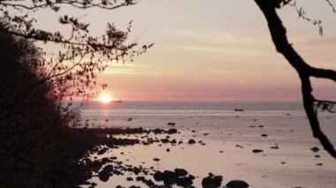 Videolarınızda bu yüksek çözünürlüklü görüntülerle büyüleyici bir altın saat atmosferi yaratın. 5-20 saniyelik klipte ön planda sallanan altın çimenler nefes kesici bir deniz kenarında sergileniyor.