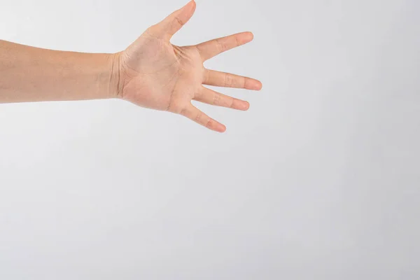Gesturing Hands Isolated White Background — Stock Photo, Image