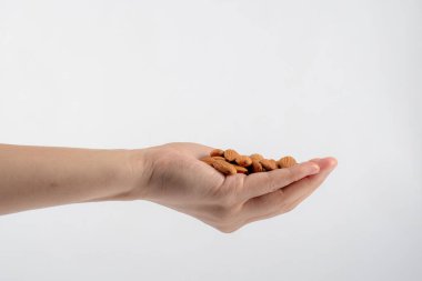 Beyaz arkaplanda el ele tutuşan badem tohumu