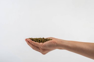 Beyaz arka plan üzerinde izole el Mung fasulye