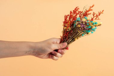 Krema arkaplanındaki kurumuş çiçekler.