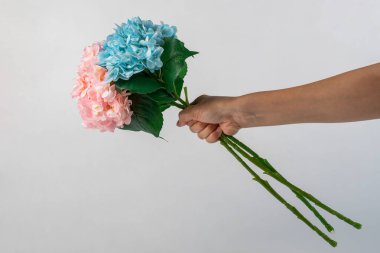 Elinde beyaz arka planda duran ortanca plastik çiçek.