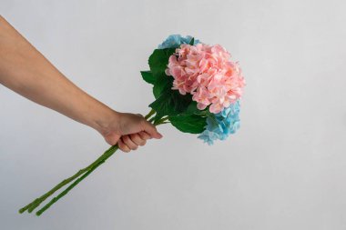 Elinde beyaz arka planda duran ortanca plastik çiçek.