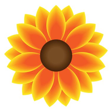 Şeffaf bir arkaplanda izole edilmiş canlı bir ayçiçeği. Tasarım İlham İçin Yaz Çiçeği. Vektör illüstrasyonu.