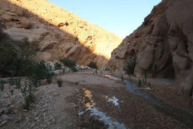 At the trailhead to the Wadi Ghuweir hike, Dana, Jordan 2021