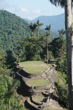Kayıp Şehir 'in terasları, Ciudad Perdida sabah güneşi, Santa Marta yakınlarında, Kolombiya 2020