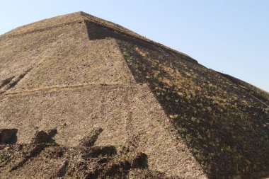 Kuru otlar Teotihuacan, Mexico City 2022 'de Güneş Piramidinin yüzeyinde yetişiyor.
