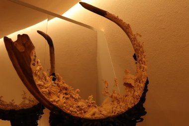 21 yaşındaki Mexico City Soumaya Müzesi 'nde sergilenen bir mamut dişinin fildişinden oyulmuş 