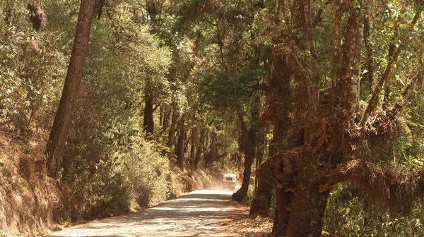 San Jose del Pacifico 'dan San Mateo Rio Hondo, Oaxaca, Meksika 2022' ye kadar uzanan güzel bir cadde.