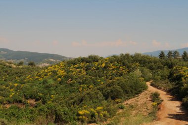 Bakire Meryem Evi, Selcuk, Türkiye 2022 yakınlarındaki güzel manzara
