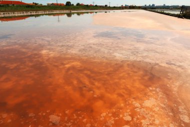 Visible pink and orange salt deposits, residue forming a pattern under the smooth surface of a pool at the Burgas Salt Pans, Lake Atanasovsko, Atanasovo, Burgas, Bourgas, Bulgaria 2022 clipart