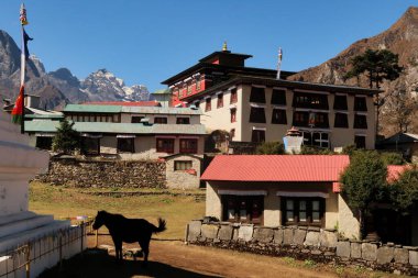 Tengboche, Tangboche köyündeki Tibet Budist manastırı, stupanın yanında dinlenen bir atın silueti ön planda görülebilir, Everest Kampı Trek Dağı, EBC, Nepal 2022