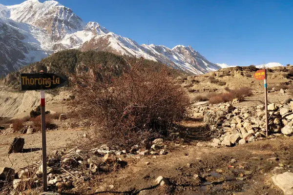 Stock image Two signposts at the junction, fork after Manang mark the trails to Thorung, Thorong La and Tilicho Lake, Annapurna Circuit Trek, Nepal 2022